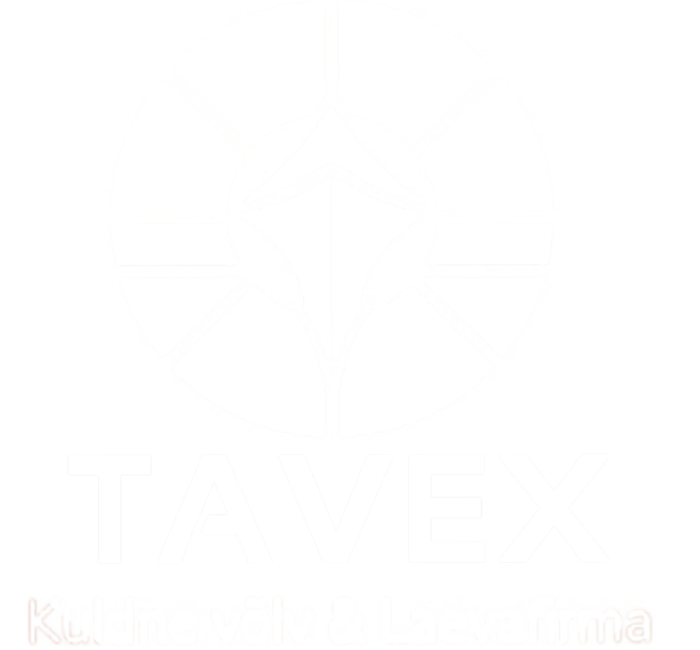 open care servizi per l'arte